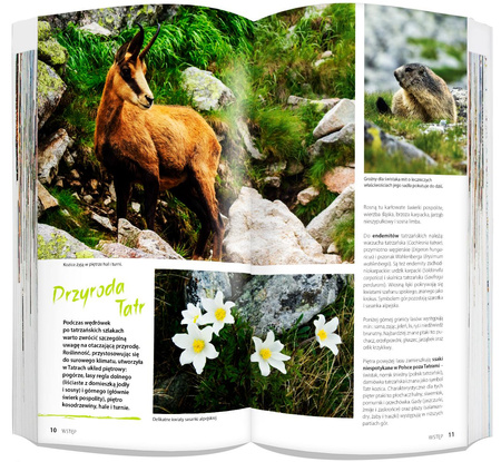 Tatry i Zakopane light przewodnik + mapa