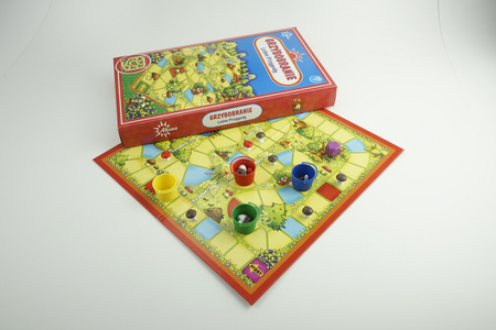 Gra Grzybobranie leśne przygody