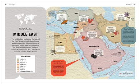 The Science of Spice. Understand Flavour Connections and Revolutionize your Cooking wer. angielska