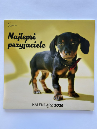Kalendarz 2026 ścienny Najlepsi przyjaciele Psy