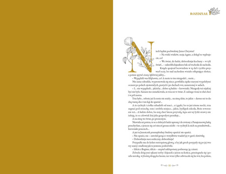 Chłopi. Wydanie kolekcjonerskie