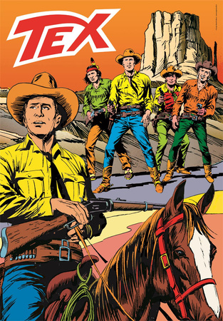 Puzzle 1000 Compact Tex 39840