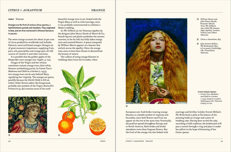 The Secret Language of Plants