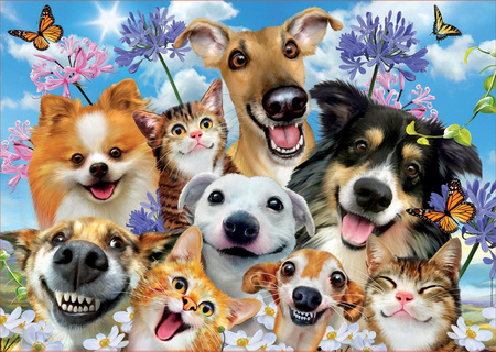 Puzzle 500 Zabawa na słońcu 109532