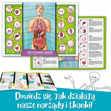 Lisciani I'm a Genius Poznaj ciało człowieka 304-PL100224