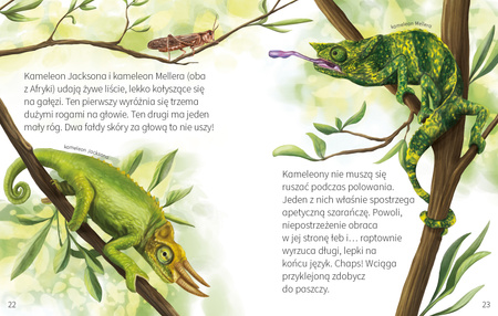 Jaszczurki małe i duże. Młodzi przyrodnicy. Dookoła świata