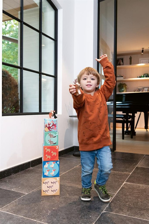 Piramida edukacyjna Dzikie zwierzęta 5 elementów Scratch