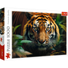 Puzzle 1000 Dziki Tygrys 10798