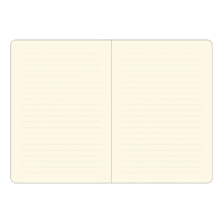 Notatnik Mini Osikowy Las Peter Pauper Press