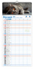 Kalendarz 2026 ścienny paskowy szeroki Koty Kotki Koteczki KPS V6