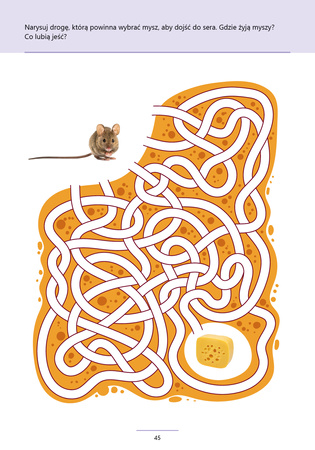 Przyjmuję wyzwanie! Klasa 4 ćwiczenia korekcyjno kompensacyjne