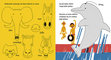 Dziurki w nosie wyd. 2