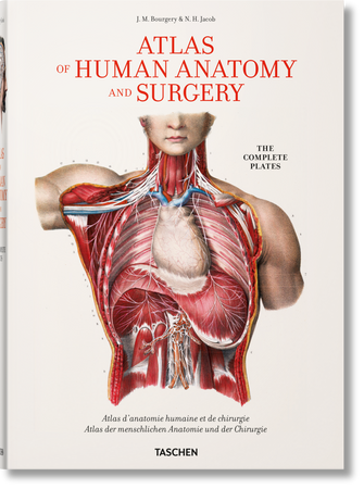 Bourgery. Atlas of Human Anatomy and Surgery wer. angielska