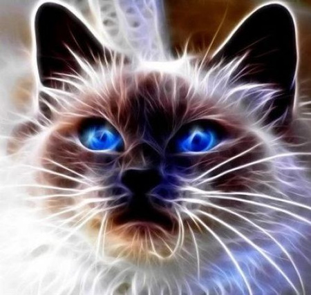 Diamentowa mozaika kot magic niebieskie oczy NO-1007109