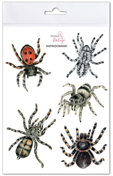 Naprasowanki Pająki