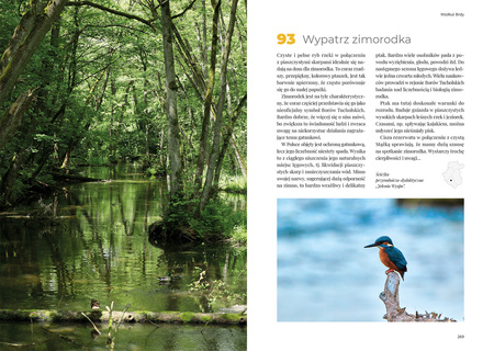 Bucket list Kaszuby i Bory Tucholskie. 100 nieoczywistych miejsc i doświadczeń