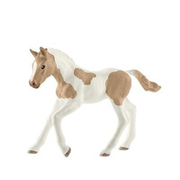 Źrebię rasy Paint Horse SLH13886