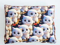Poduszka koty 1