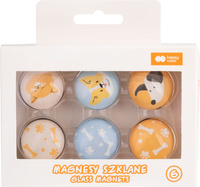 Magnesy szklane CAT&DOG Happy Color 6 szt.