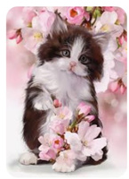 Diamentowa Mozaika Kotek w kwiatach NO-1008279