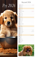 Kalendarz 2026 paskowy Psy