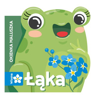 Łąka. Okienka maluszka