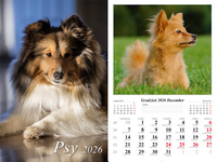 Kalendarz 2026 ścienny 7-k Psy