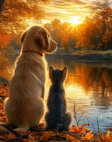 Diamentowa Mozaika Jesień kotek i piesek nad brzegiem NO-2003052