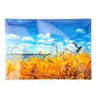 Paczka Teczka A5 kopertowa PP Niebo 5 szt.