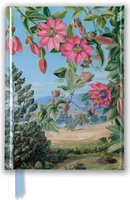 Notatnik A6 linia TW Widok w ogrodzie Brisbane Kew Marianne North FTPB105