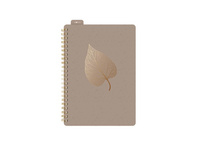 Kołozeszyt A5 z gumką 80k.linia brązowy