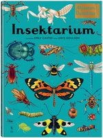 Insektarium. Muzeum Owadów