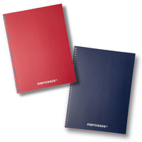 Kołonotatnik A4 80k.kratka SWING Mono BG