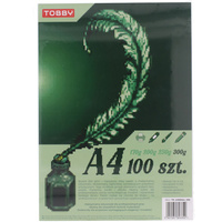 Papier brystol A4 100 ark.300g