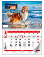 Kalendarz 2026 ścienny lux 1szt.mix