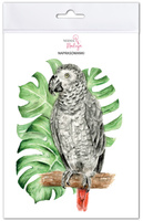 Naprasowanki Papuga Żako