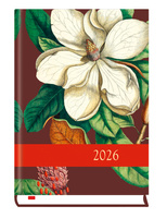 Terminarz 2026 Powszechny B6 dzienny 01