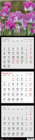 Kalendarz 2026 trójdzielny kwadratowy KTK 1szt.mix