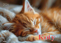 Kalendarz 2026 Koty KA-1