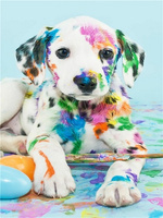 Diamentowa Mozaika Pies dalmatyńczyk NO-1004869