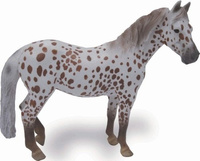 Klacz British Spotted Pony maści kasztan 004-88750