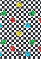 Paczka Zeszyt A5 60k kratka Coolpack Catch Me 10 SZTUK