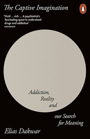 The Captive Imagination wer. angielska