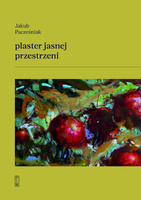 Plaster jasnej przestrzeni
