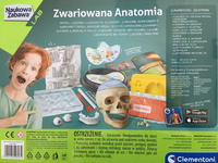 Zestaw kreatywny Zwariowana anatomia 50697